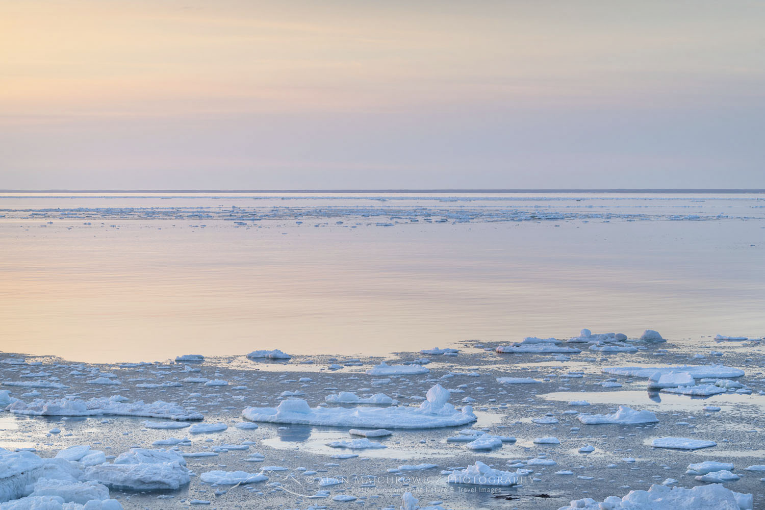 Pack ice in the Strait of Belle Isle along the south coast of Labrador. Newfoundland and Labrador Canada #80320
