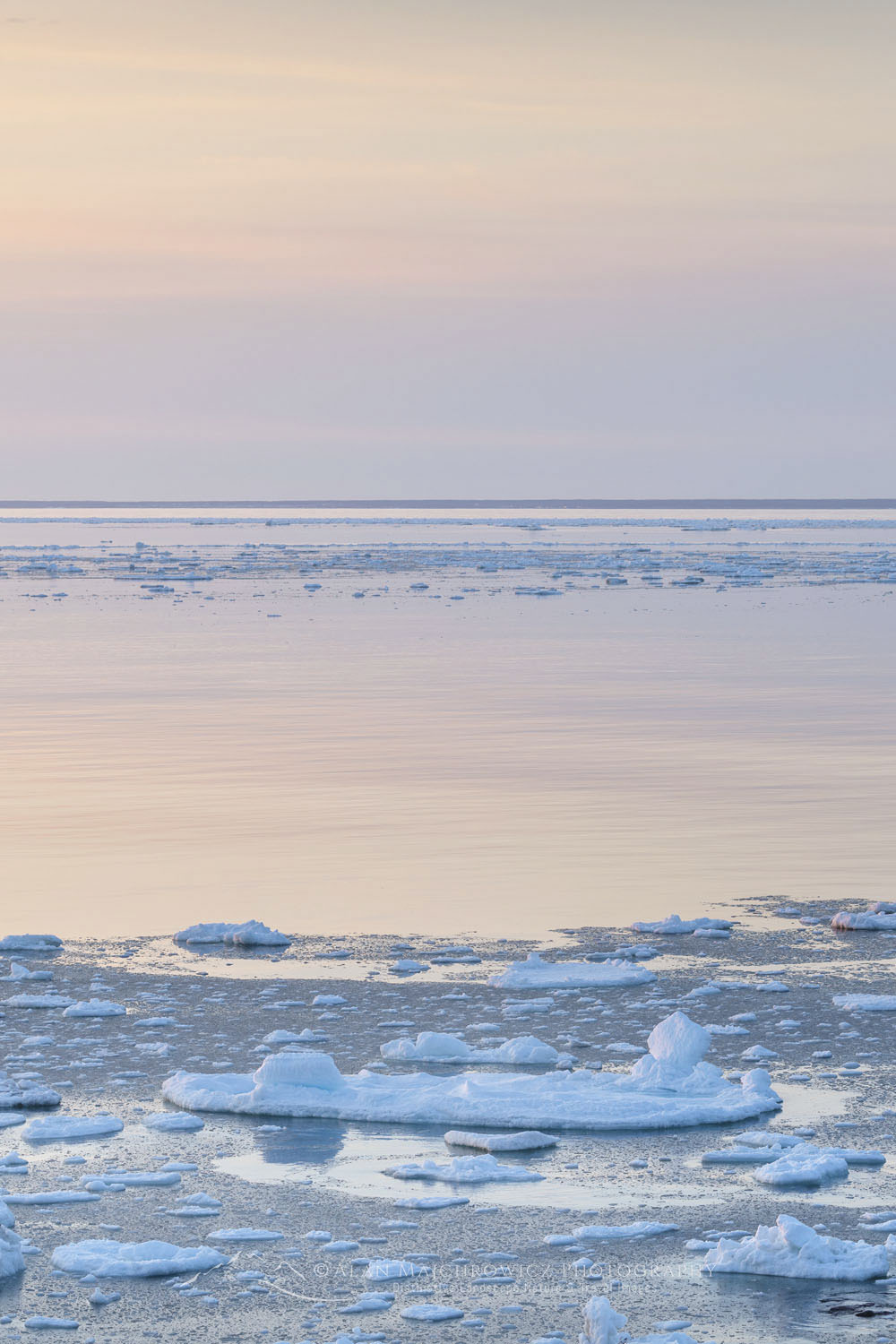 Pack ice in the Strait of Belle Isle along the south coast of Labrador. Newfoundland and Labrador Canada #80320b