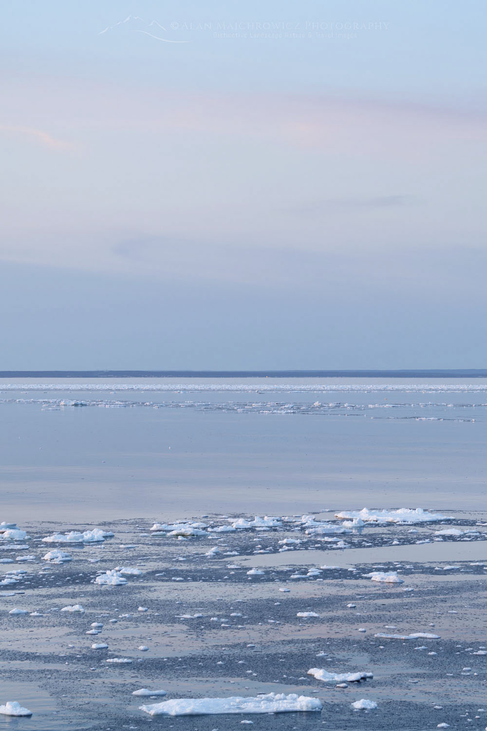 Pack ice in the Strait of Belle Isle along the south coast of Labrador. Newfoundland and Labrador Canada #80321b