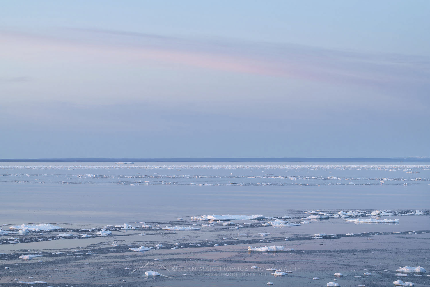 Pack ice in the Strait of Belle Isle along the south coast of Labrador. Newfoundland and Labrador Canada #80322