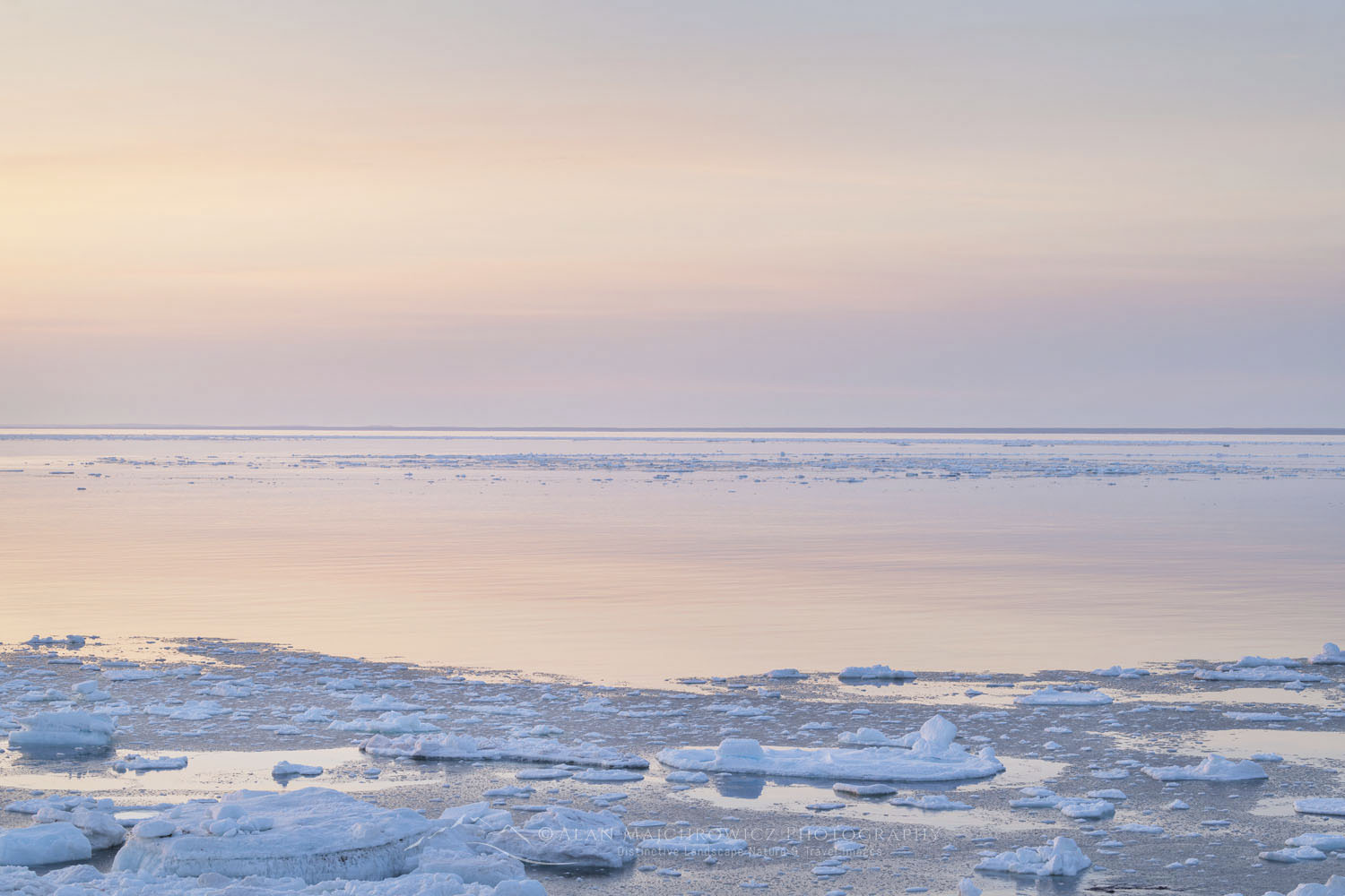 Pack ice in the Strait of Belle Isle along the south coast of Labrador. Newfoundland and Labrador Canada #80323