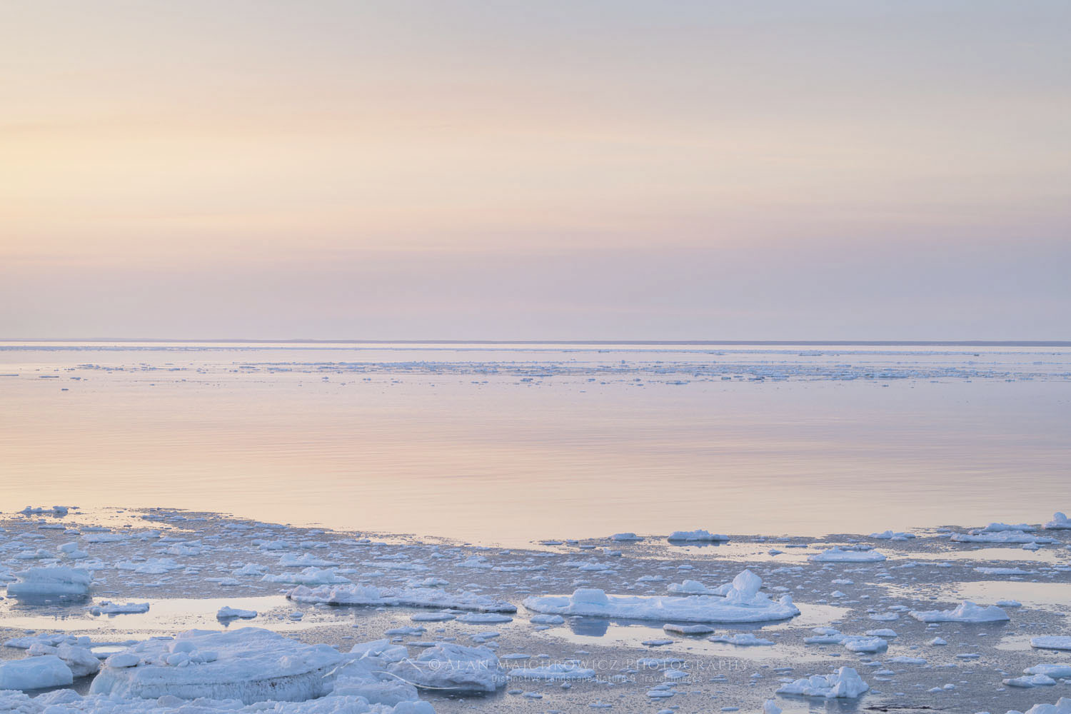 Pack ice in the Strait of Belle Isle along the south coast of Labrador. Newfoundland and Labrador Canada #80323