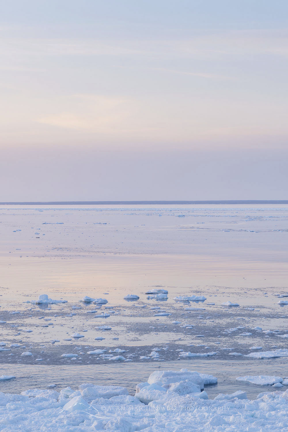 Pack ice in the Strait of Belle Isle along the south coast of Labrador. Newfoundland and Labrador Canada #80328b