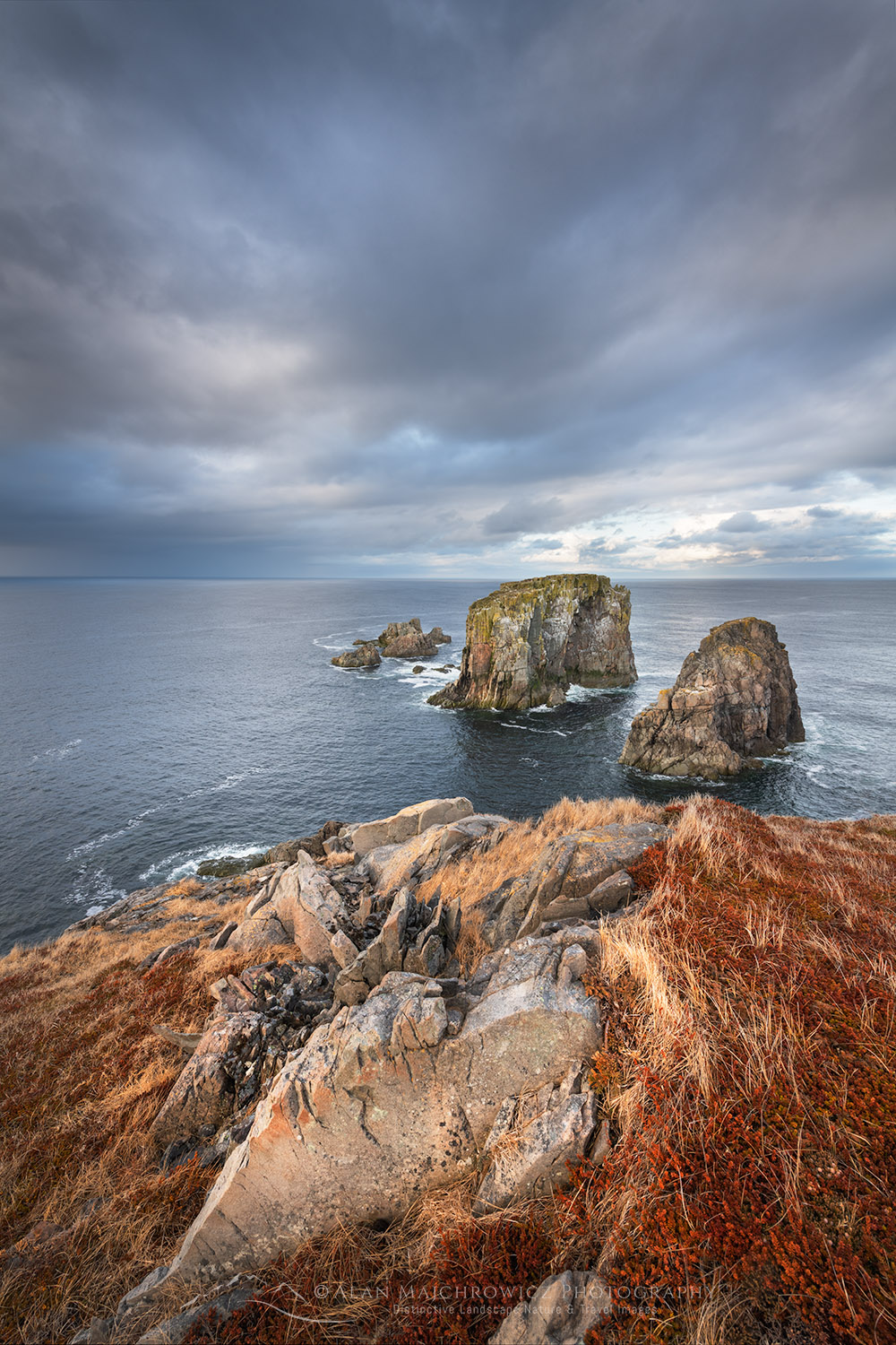 Rugged headlands near Spillars Cove, Bonavista Peninsula, Newfoundland #79681