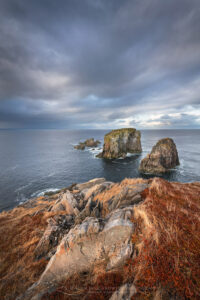 Rugged headlands near Spillars Cove, Bonavista Peninsula, Newfoundland #79681