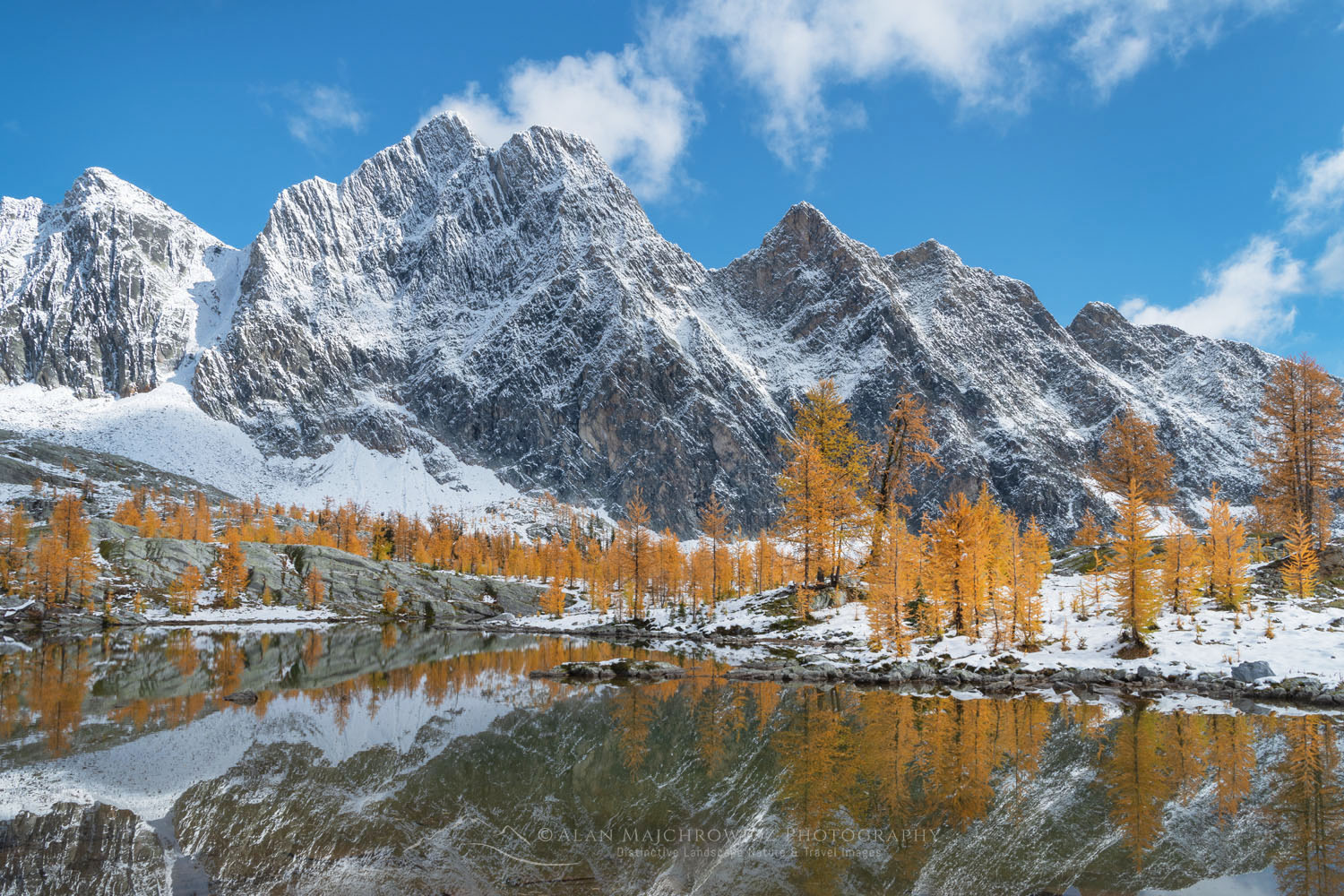 Mount Amen-Ra and Alpine Larches (Larix lyallii) are reflected in the lake after fresh autumn snowfall. Purcell Mountains British Columbia Canada #81340