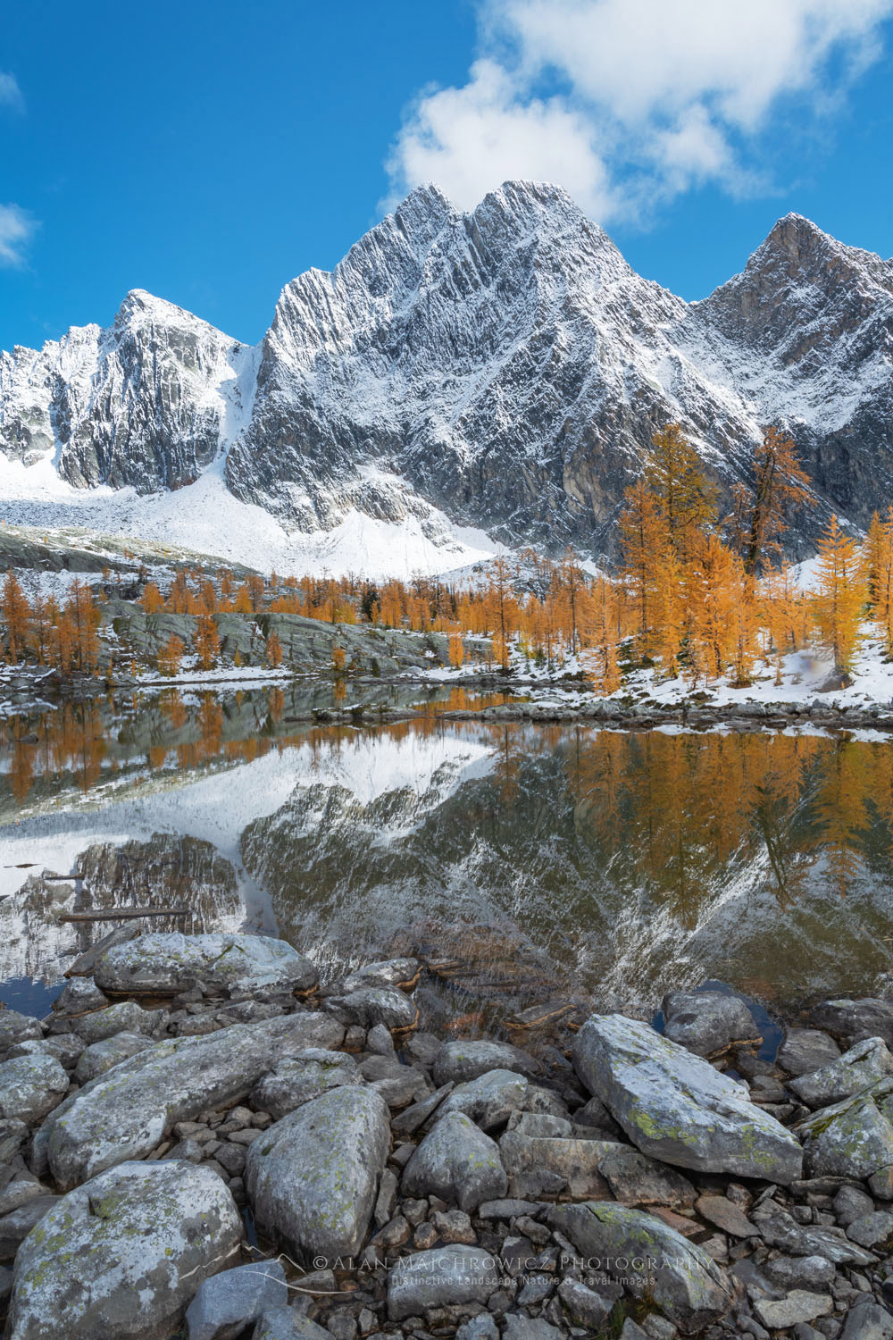 Mount Amen-Ra and Alpine Larches (Larix lyallii) are reflected in the lake after fresh autumn snowfall. Purcell Mountains British Columbia Canada #81343