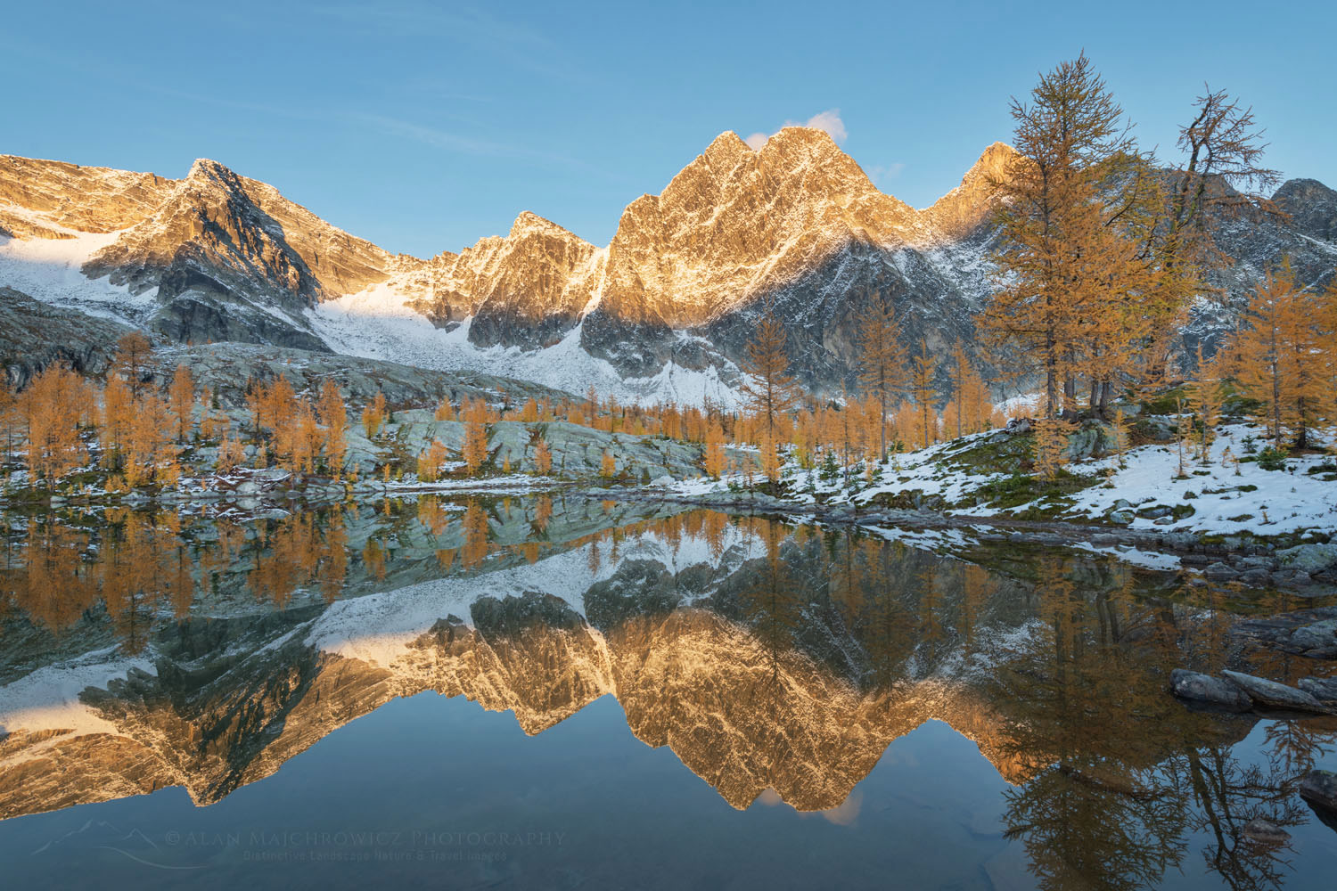 Mount Amen-Ra and Alpine Larches (Larix lyallii) are reflected in the lake after fresh autumn snowfall. Purcell Mountains British Columbia Canada #81421