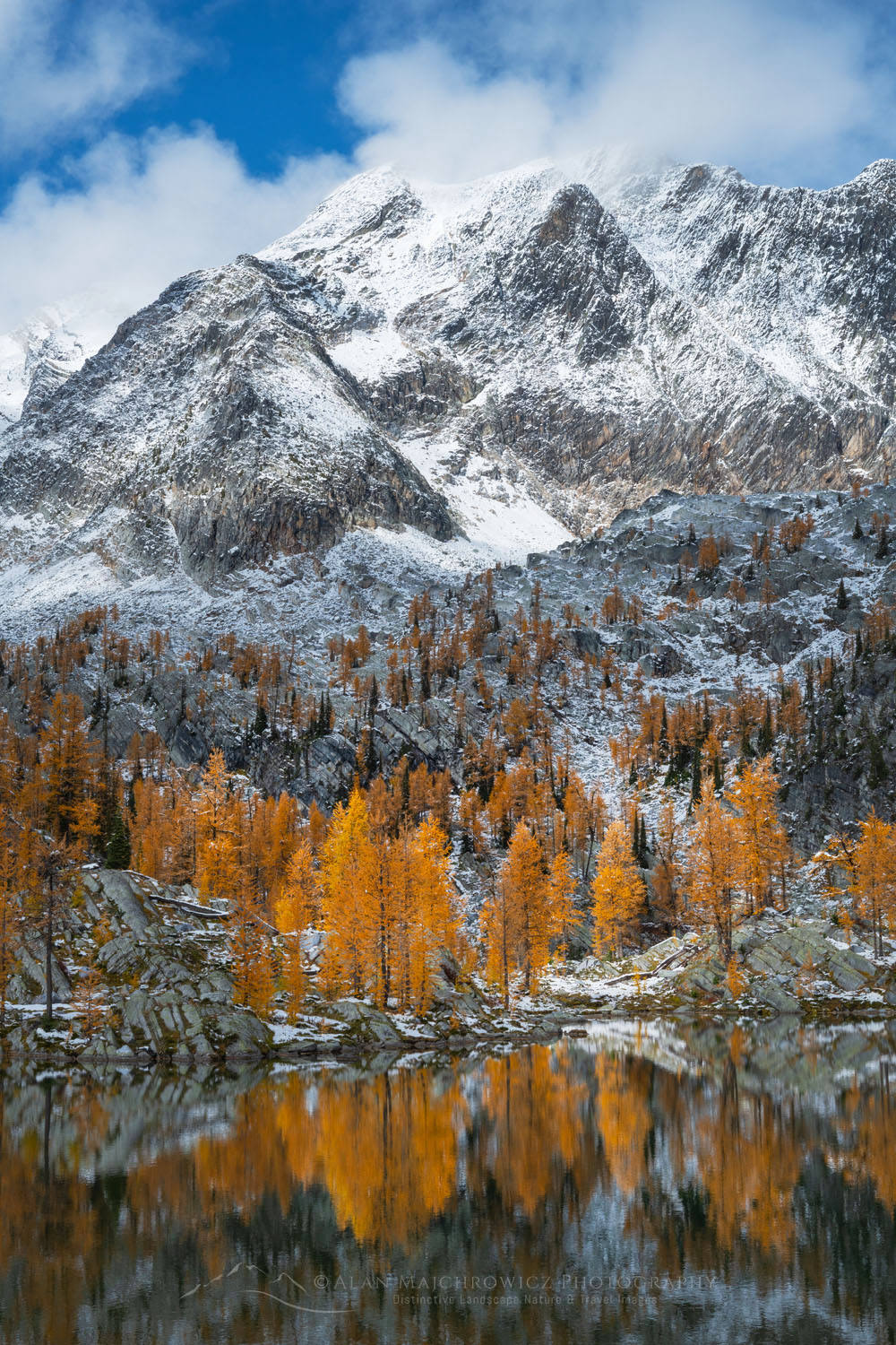 Mount Monica and Alpine Larches (Larix lyallii) are reflected in a lake at Monica Meadows. Purcell Mountains British Columbia Canada #81332