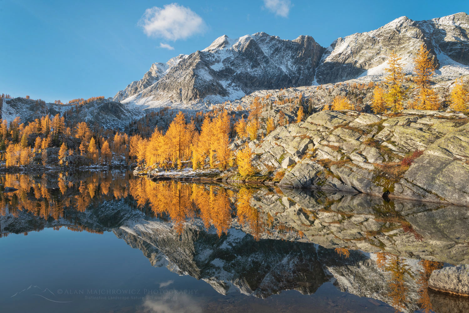 Mount Monica and Alpine Larches (Larix lyallii) are reflected in a lake at Monica Meadows. Purcell Mountains British Columbia Canada #81401