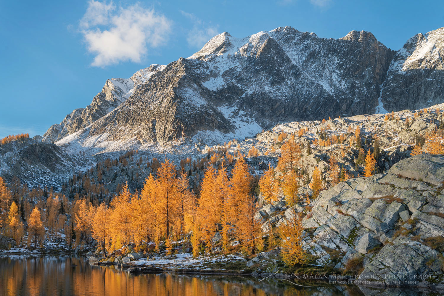 Mount Monica and Alpine Larches (Larix lyallii) are reflected in a lake at Monica Meadows. Purcell Mountains British Columbia Canada #81407