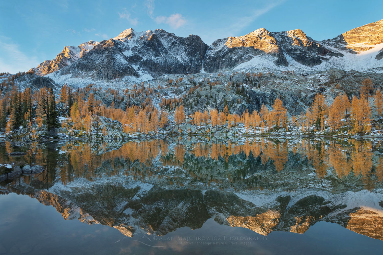 Mount Monica and Alpine Larches (Larix lyallii) are reflected in a lake at Monica Meadows. Purcell Mountains British Columbia Canada #81425