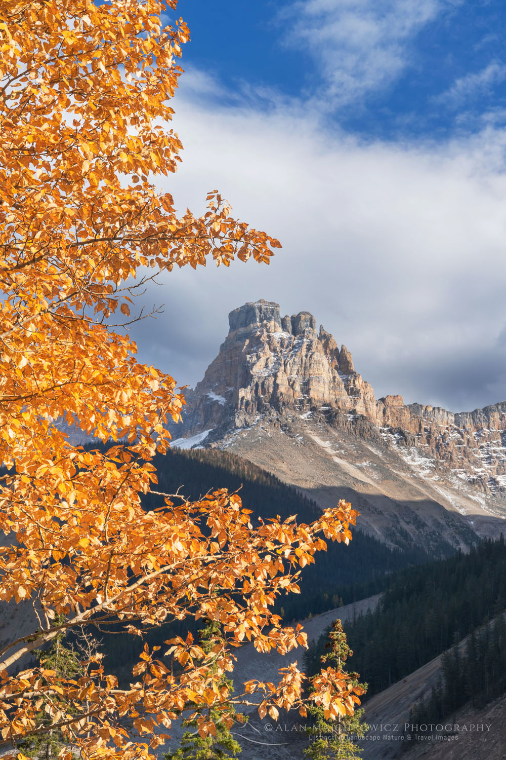 Fall Foliage Yoho National Park - Alan Majchrowicz Photography