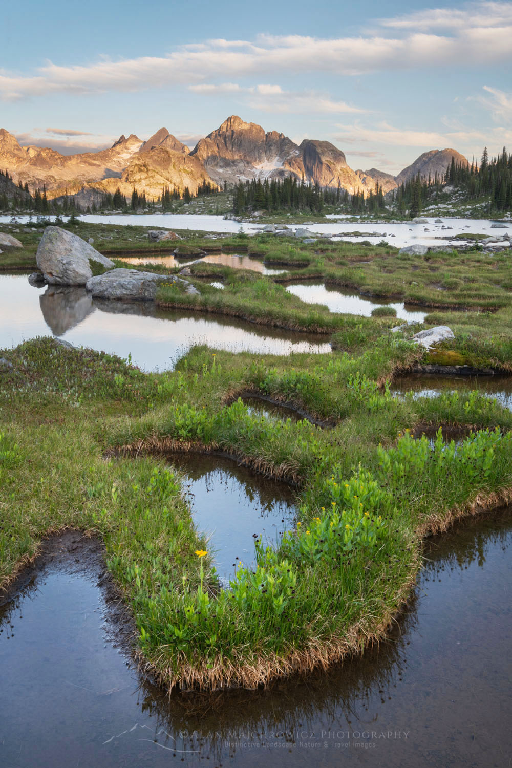 Gwillim Lakes, with Drinnan Peak in the distance. Valhalla Provincial Park, West Kootenays British Columbia Canada #80812