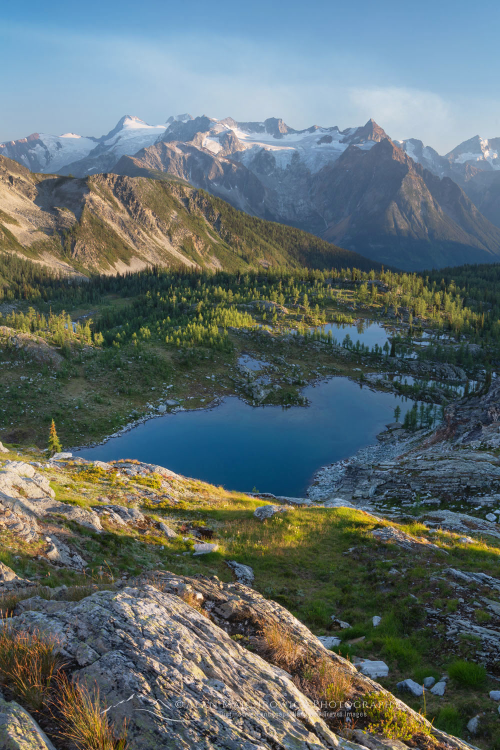 Looking down to lakes and tarns in Monica Meadows. Truce Mountain, Horseshoe Glacier, and peaks of the Truce Group, are in the distance. Purcell Mountains British Columbia Canada #81149