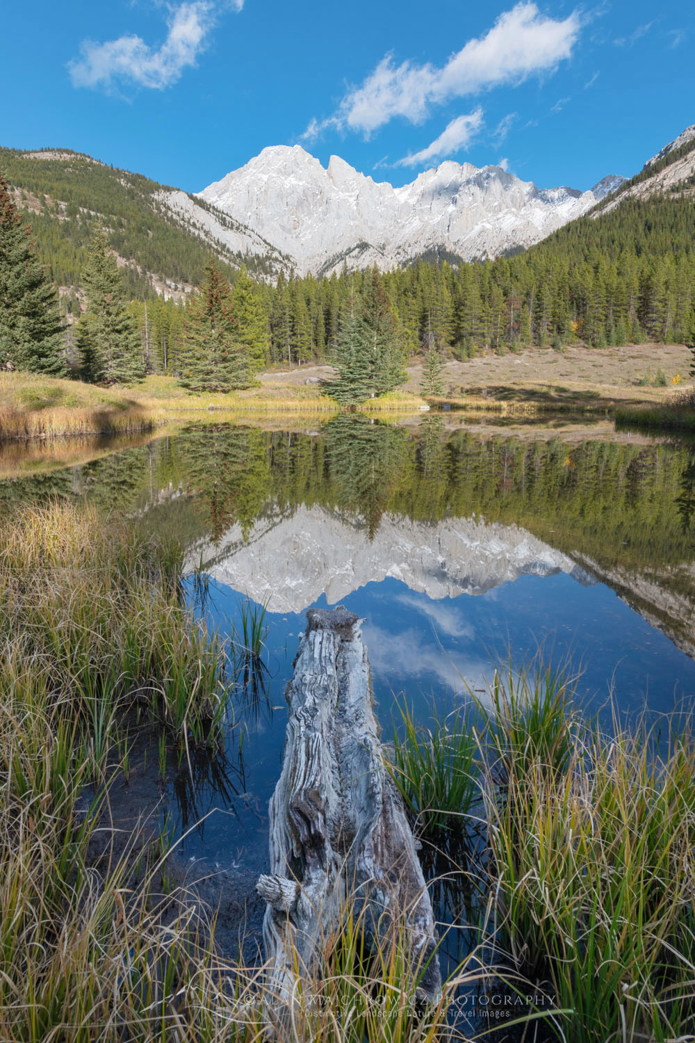 Mount Blane reflected in a small pond. Kananaskis Country in the Canadian Rockies Alberta Canada #81548