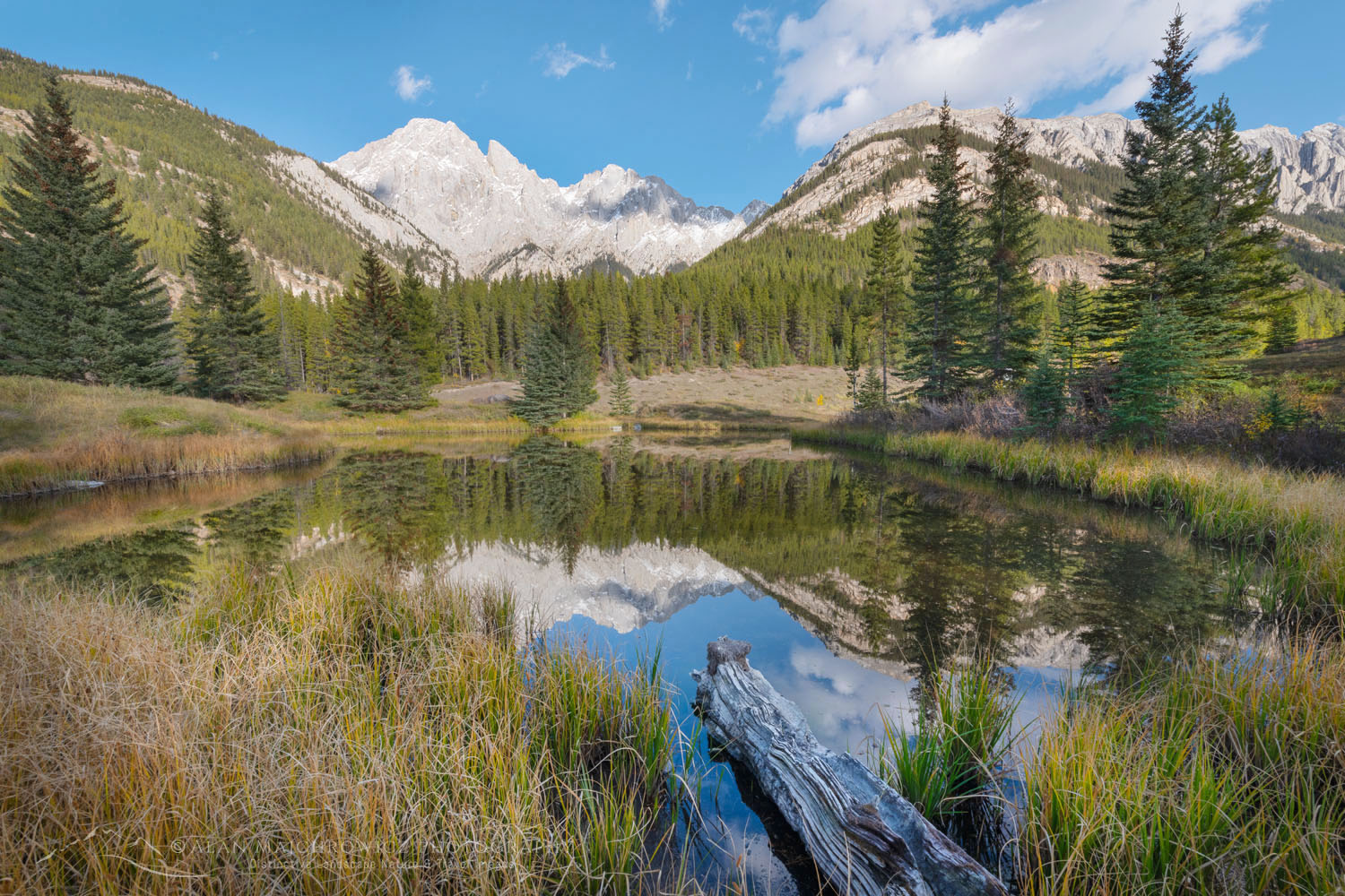 Mount Blane reflected in a small pond. Kananaskis Country in the Canadian Rockies Alberta Canada #81549