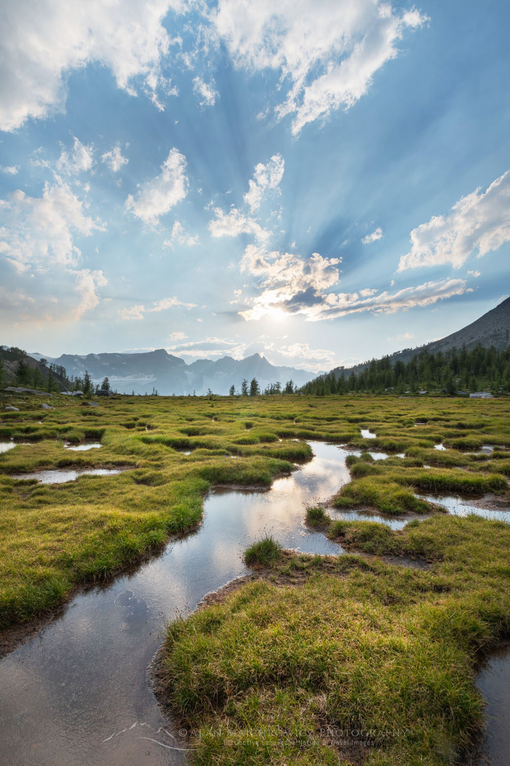 Sunset over ponds below Mount Monica. Purcell Mountains British Columbia Canada #80964