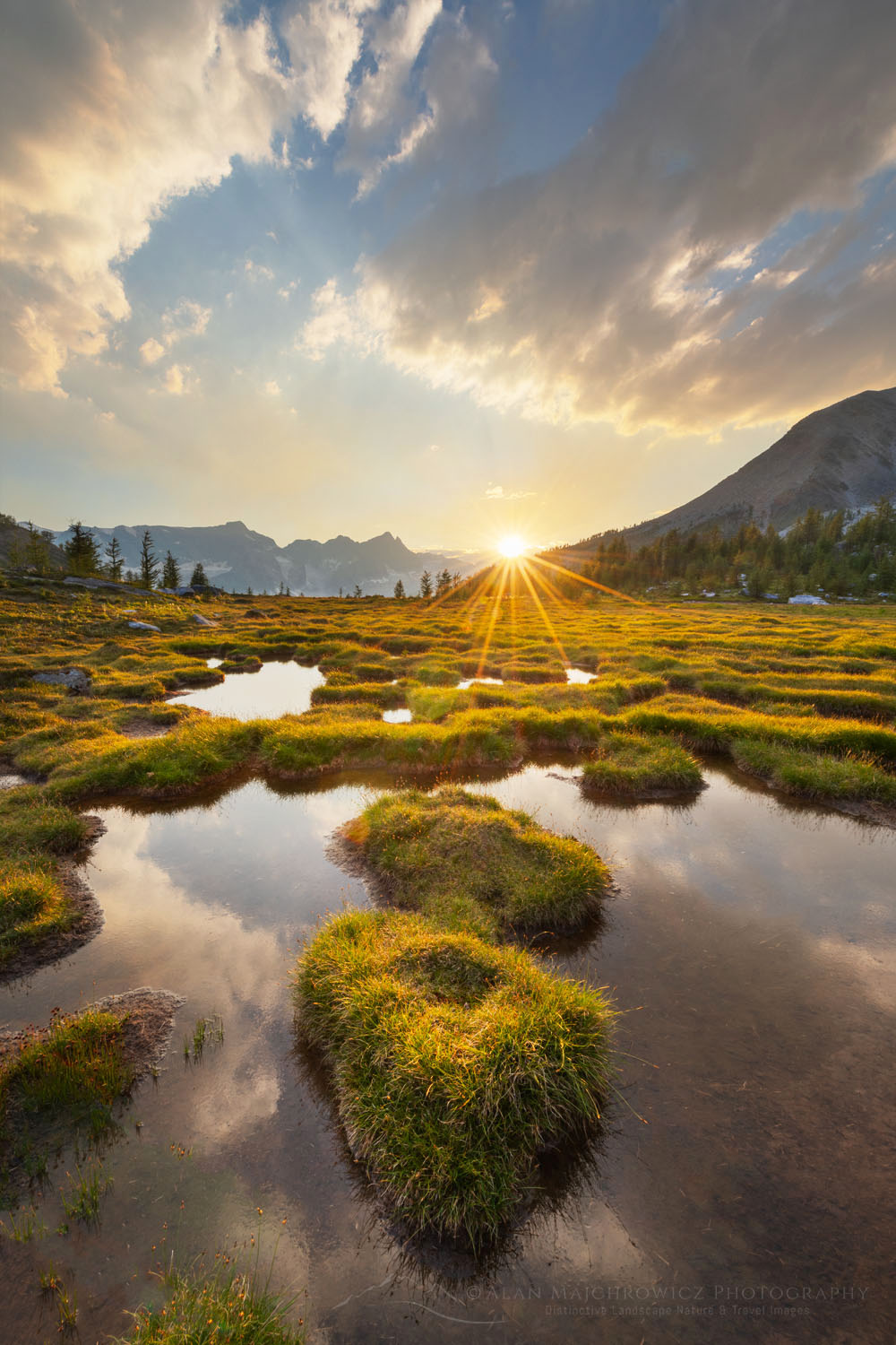 Sunset over ponds below Mount Monica. Purcell Mountains British Columbia Canada #81019