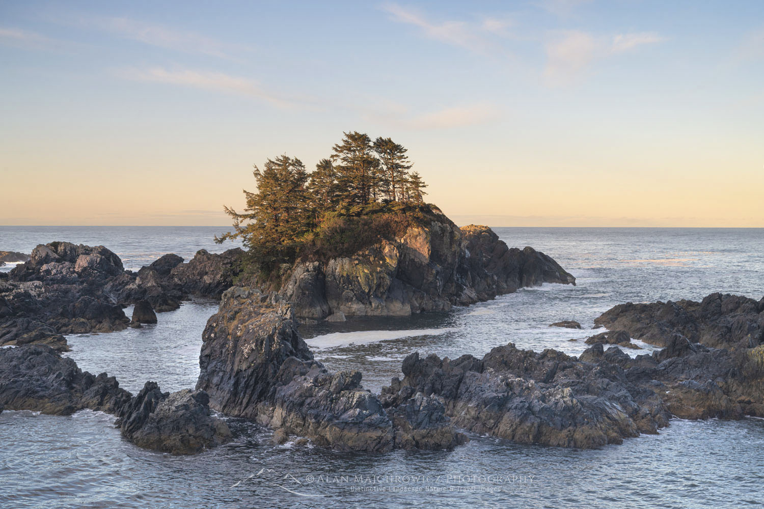 Rugged coast of Vancouver Island seen from Wild Pacific Trail in Ucluelet British Columbia #79349