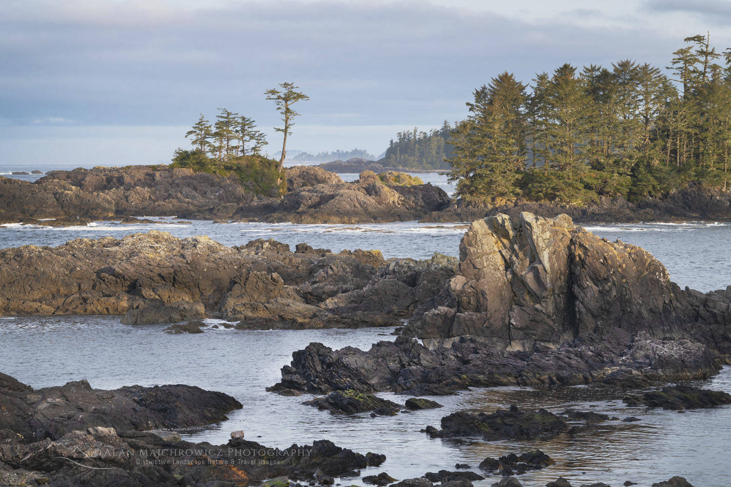 Rugged coast along Wild Pacific Trail. in Ucluelet , Vancouver Island British Columbia #79429