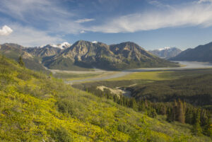 View up the Slims River Valley, Kluane National Park Yukon Canada