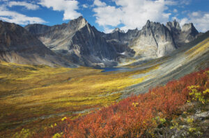 Grizzly Creek valley displaying tundra in full autumn color, Tombstone Territorial Park Yukon Canada