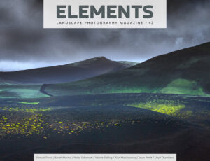 Elements Magazine August 2024