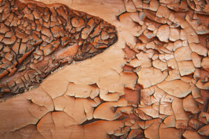 Cracked mud patterns in Harris Wash Grand Staircase-Escalante National Monument Utah #84614