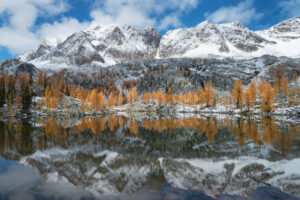 Mount Monica and Alpine Larches (Larix lyallii) are reflected in a lake at Monica Meadows. Purcell Mountains British Columbia Canada #81331