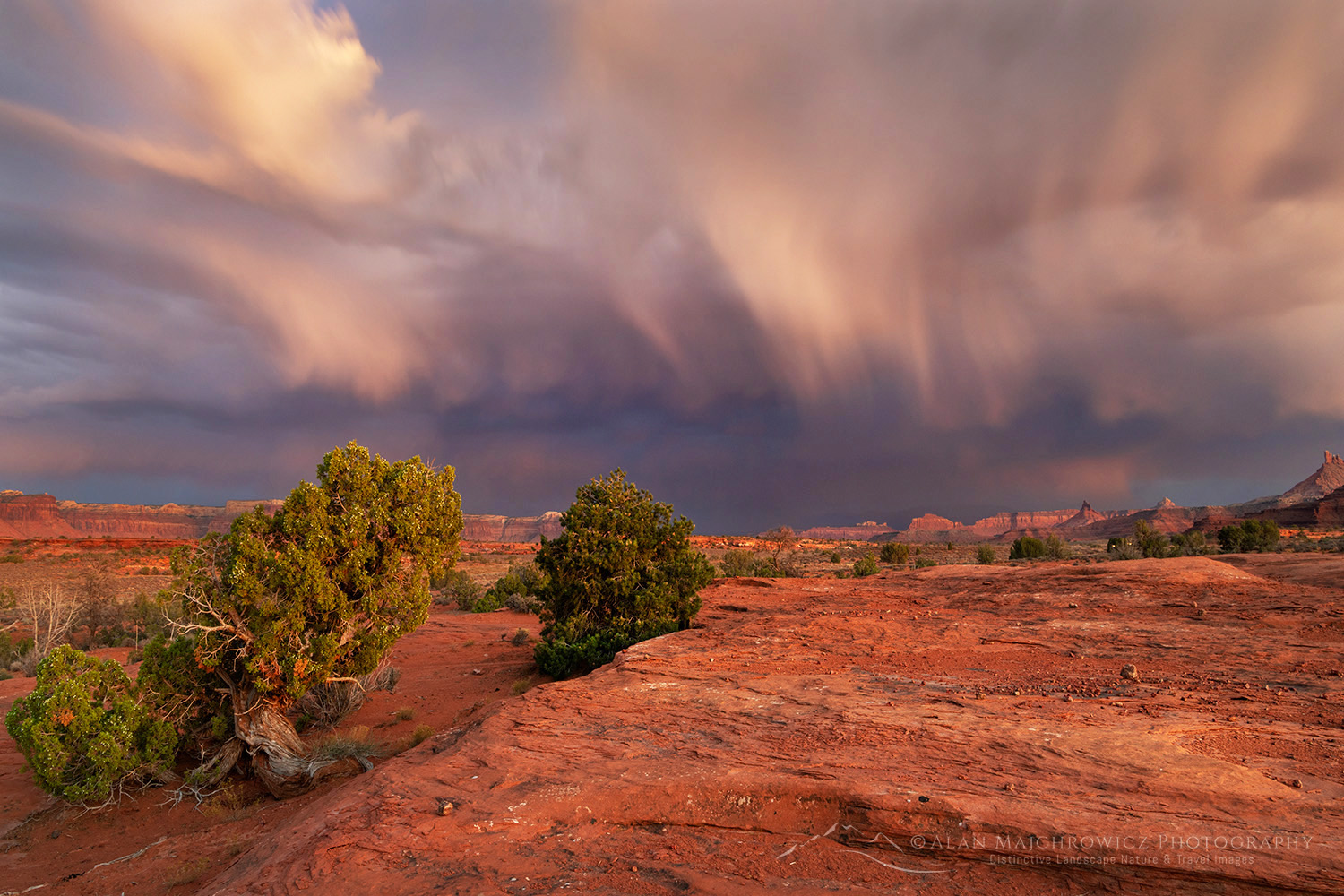 Evening storm Bears Ears National Monument, Utah #85399