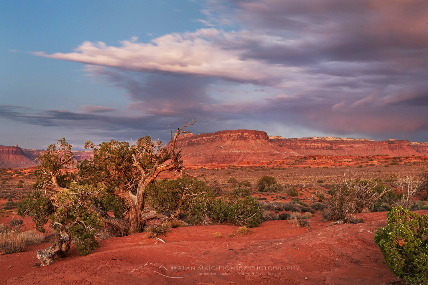 Evening storm Bears Ears National Monument, Utah #85402
