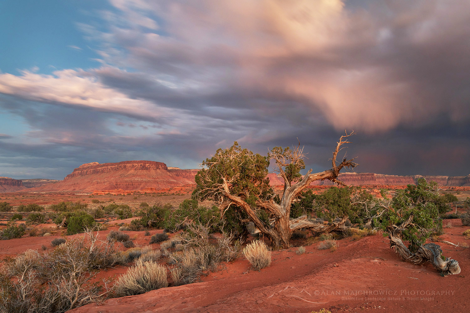 Evening storm Bears Ears National Monument, Utah #85403