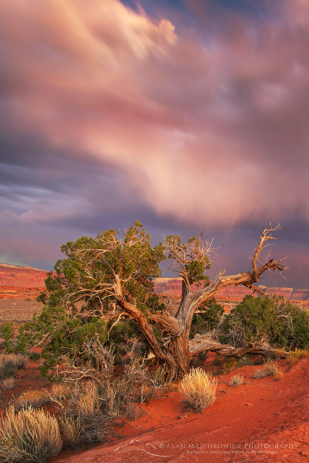 Evening storm Bears Ears National Monument, Utah #85405b