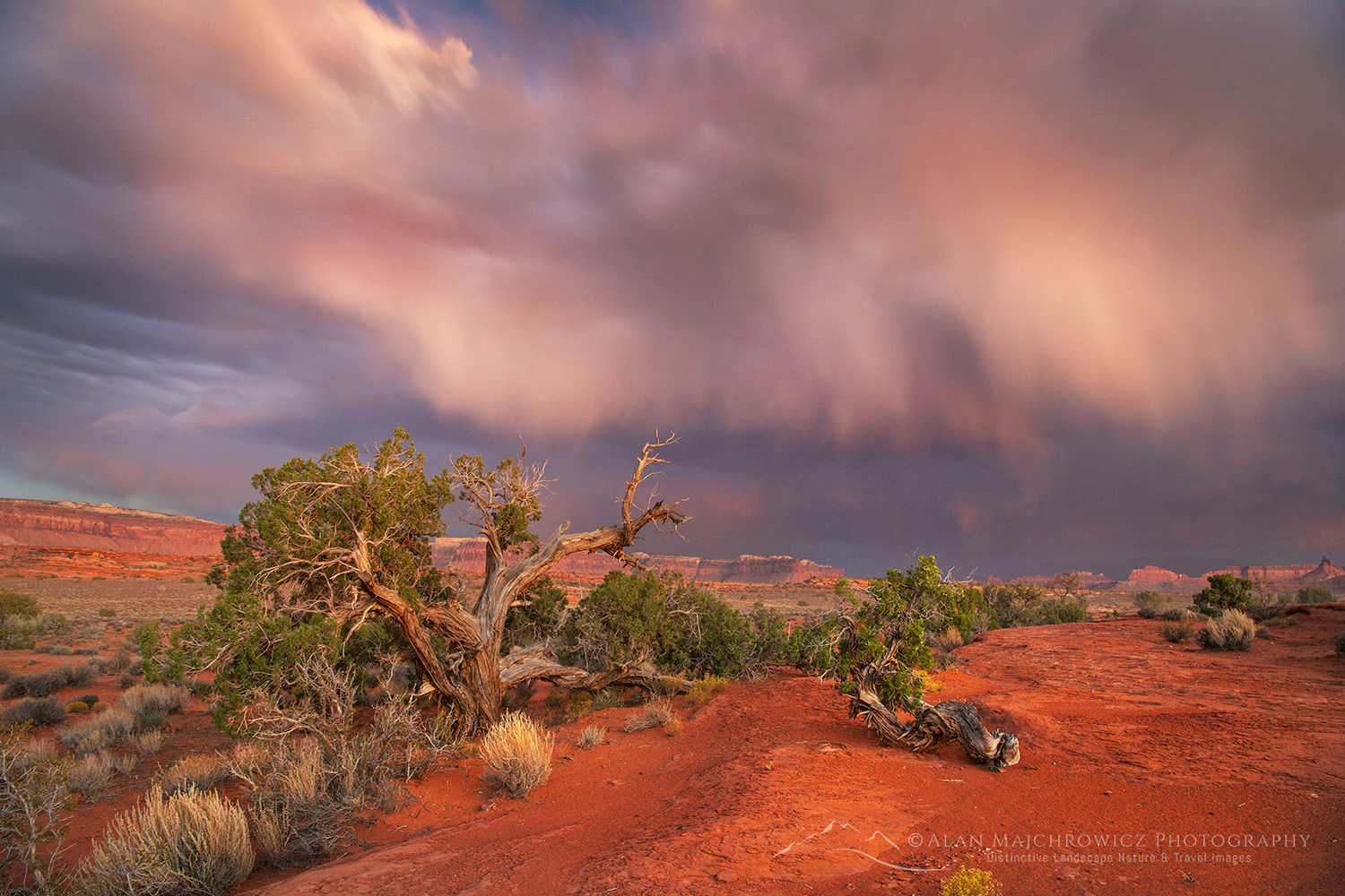 Evening storm Bears Ears National Monument, Utah #85405