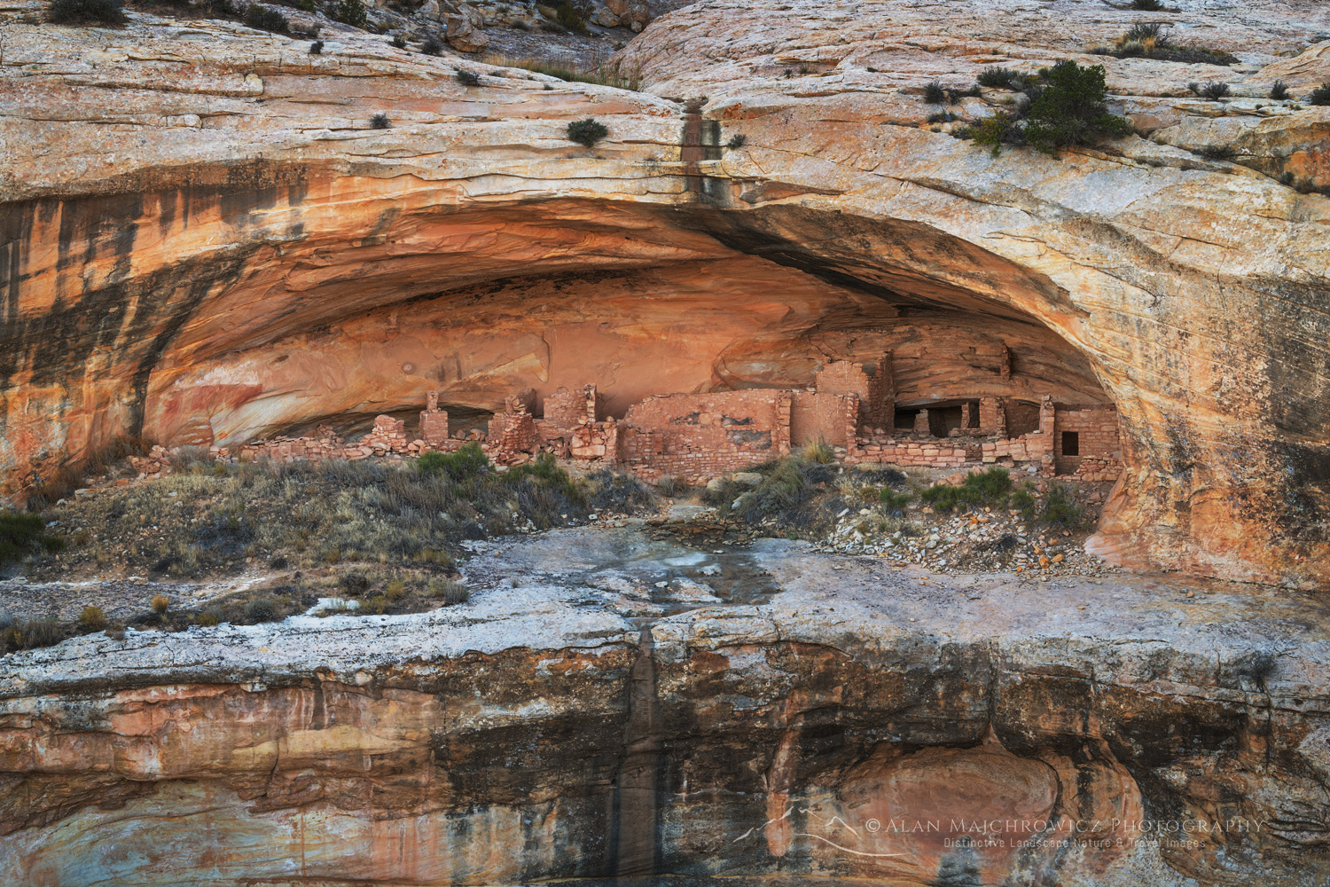 Butler Wash Ruins, Bears Ears National Monument, Utah #85231