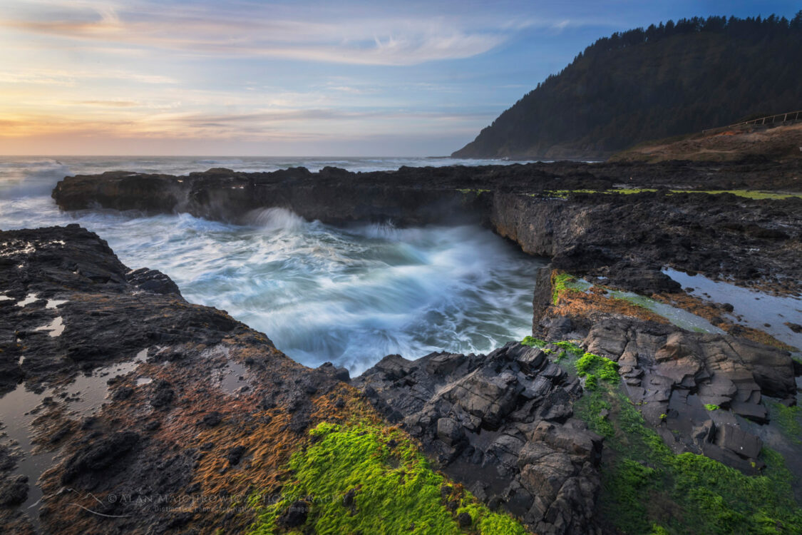 Tidepools and sea moss at sunset, on the rocky lava coast of Cape Perpetua, Oregon #83208
