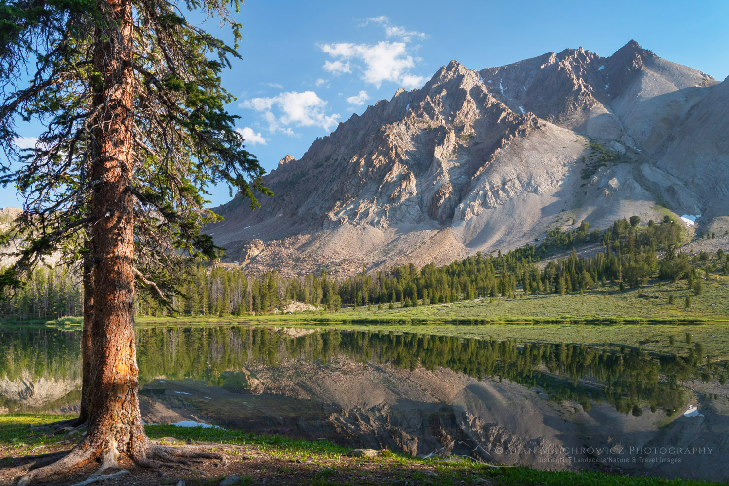 Castle Peak reflected in the still waters of Chamberlain Lake, White Clouds Wilderness, Idaho #83789