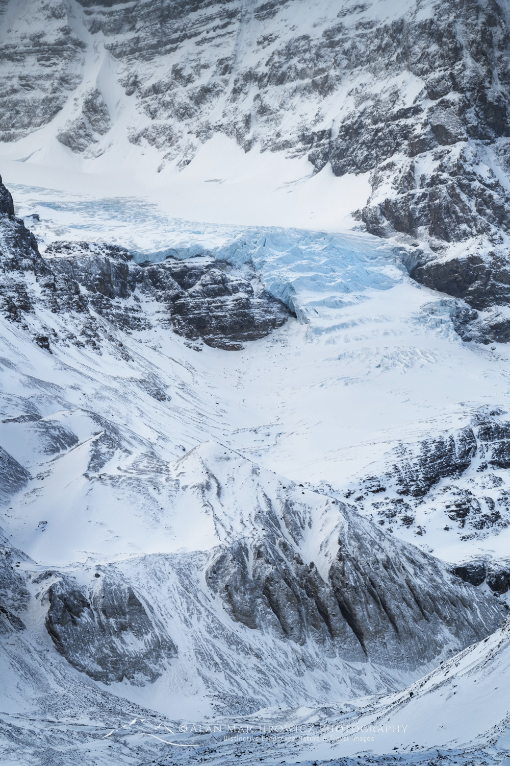 Glacier on Mount Andromeda in winter, seen from Icefields Parkway. Jasper National Park Alberta Canada #82186