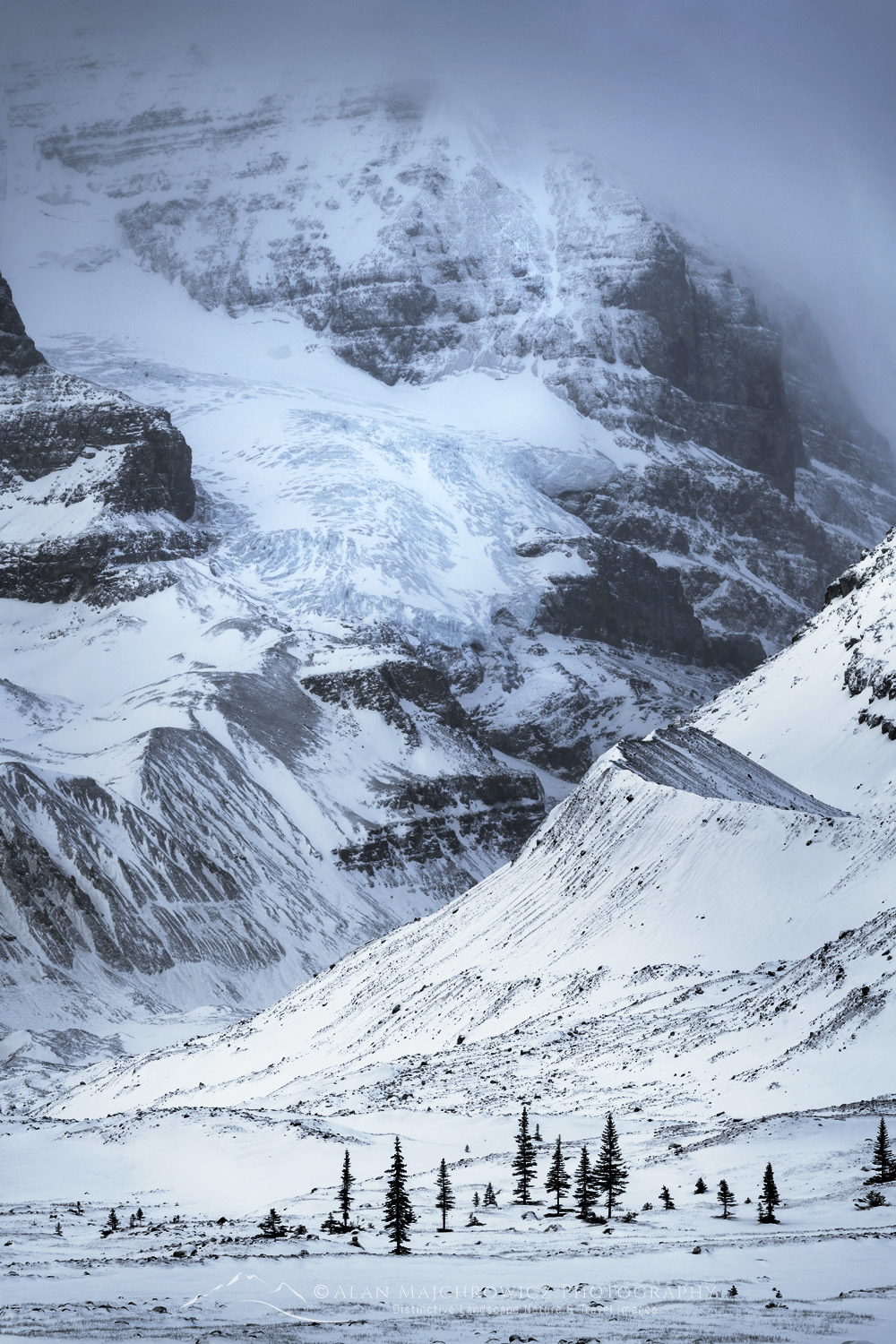 Glacier on Mount Andromeda in winter, seen from Icefields Parkway. Jasper National Park Alberta Canada #82187