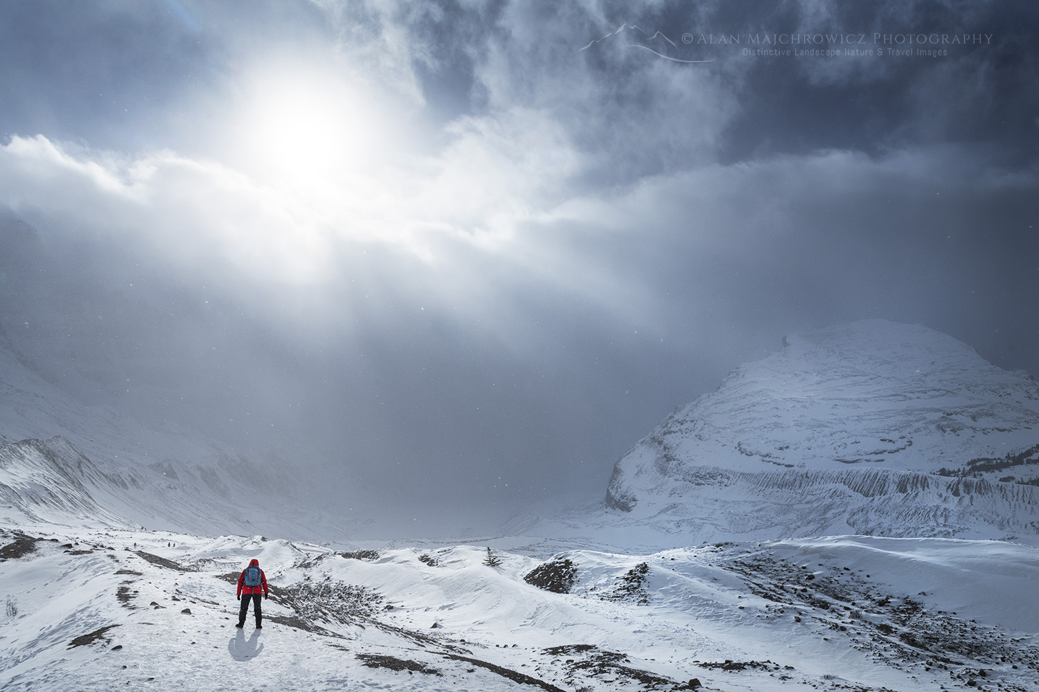 Columbia Icefields in Winter Jasper National Park Alberta Canada #82267b