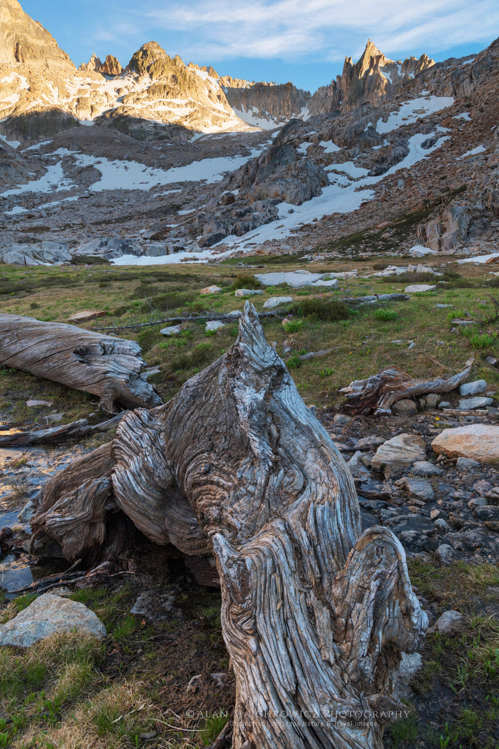 Upper Cramer Basin. Sawtooth Wilderness, Idaho #83676