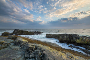 Daleys Point on the southern Avalon Peninsula. Part of the Mistaken Point Ecological Reserve and UNESCO World Heritage Site. Newfoundland and Labrador Canada #80701