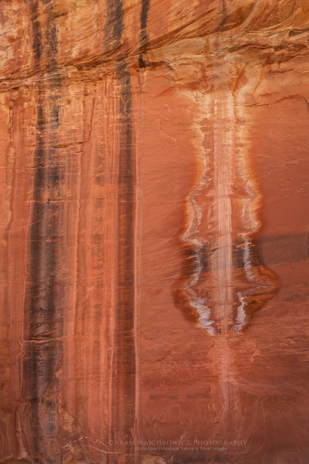 Patterns on sandstone wall in Natural Bridges National Monument, Utah #85162