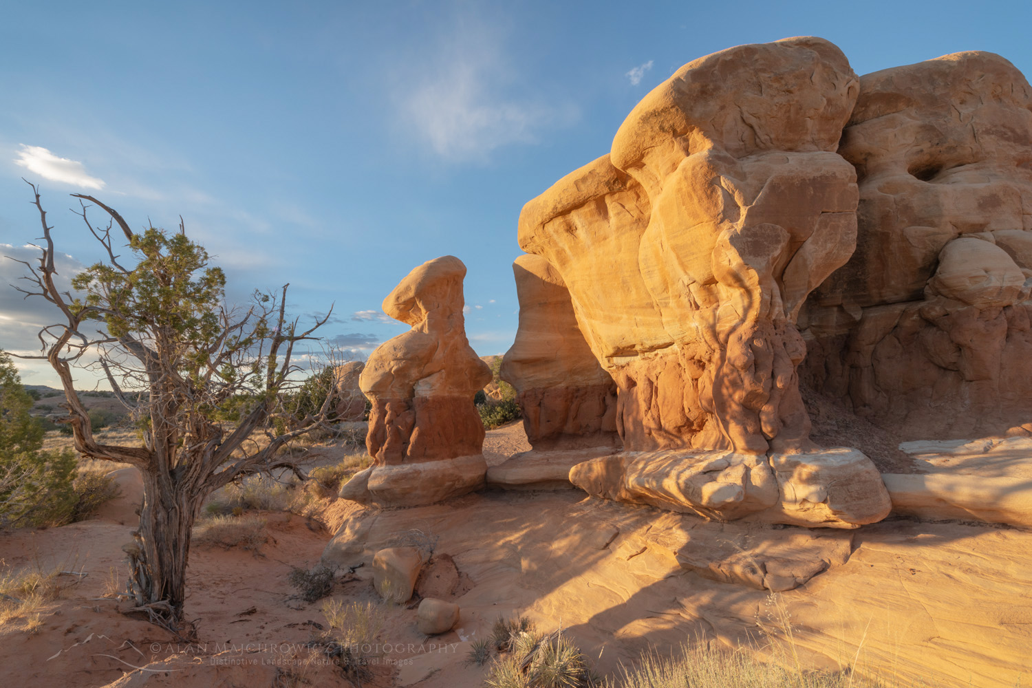 Sandstone hoodoos. Devils Garden Grand Staircase-Escalante National Monument Utah #84652