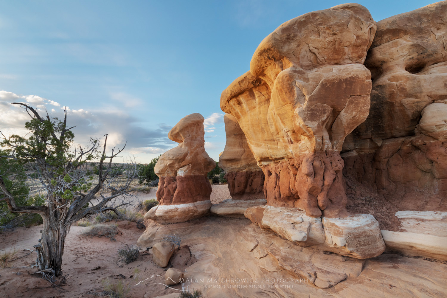 Sandstone hoodoos. Devils Garden Grand Staircase-Escalante National Monument Utah #84654
