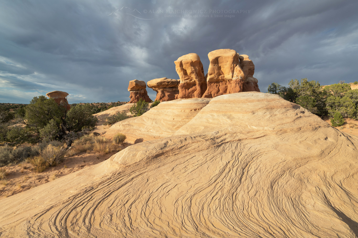 Sandstone hoodoos. Devils Garden Grand Staircase-Escalante National Monument Utah #84733