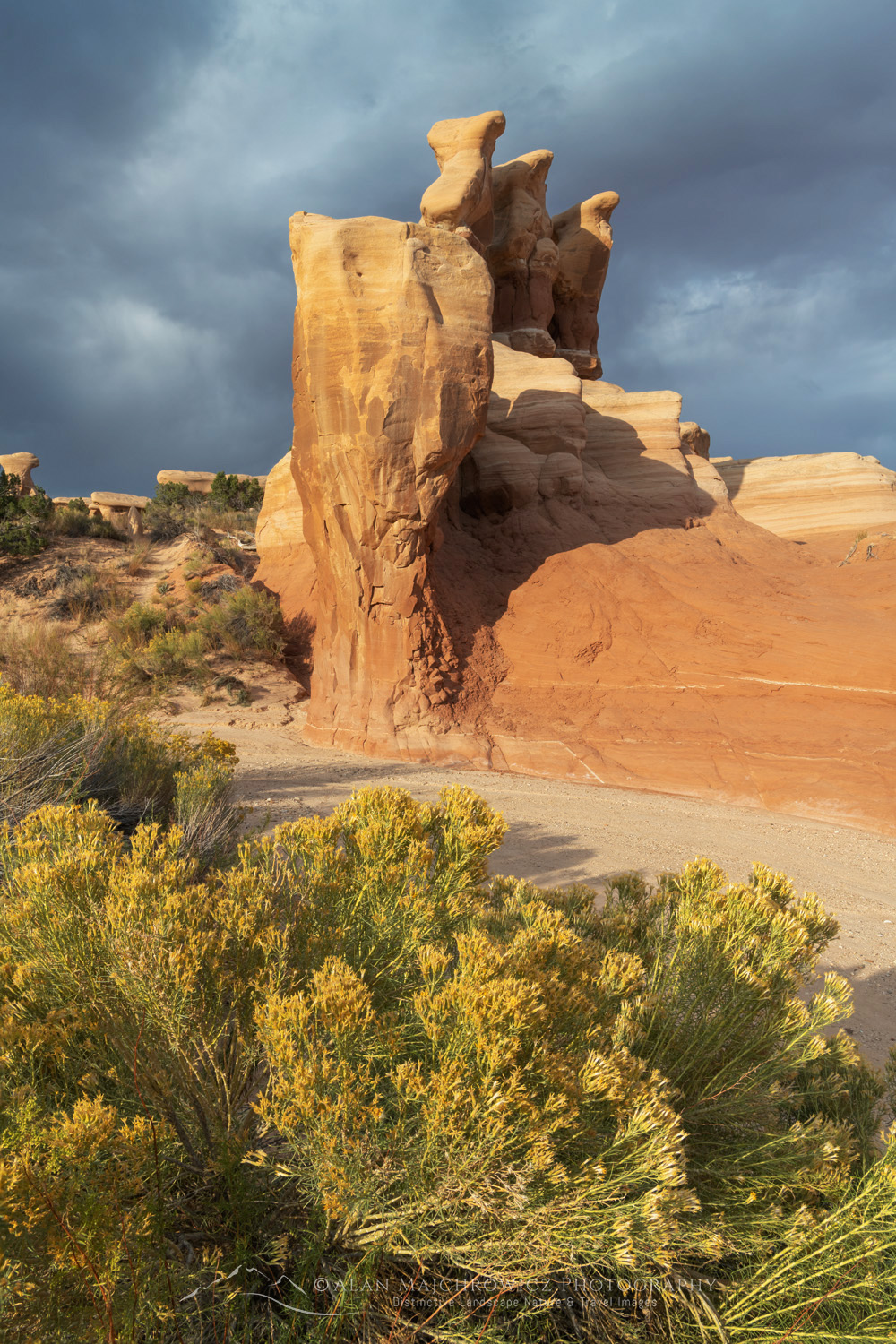 Sandstone hoodoos. Devils Garden Grand Staircase-Escalante National Monument Utah #84739