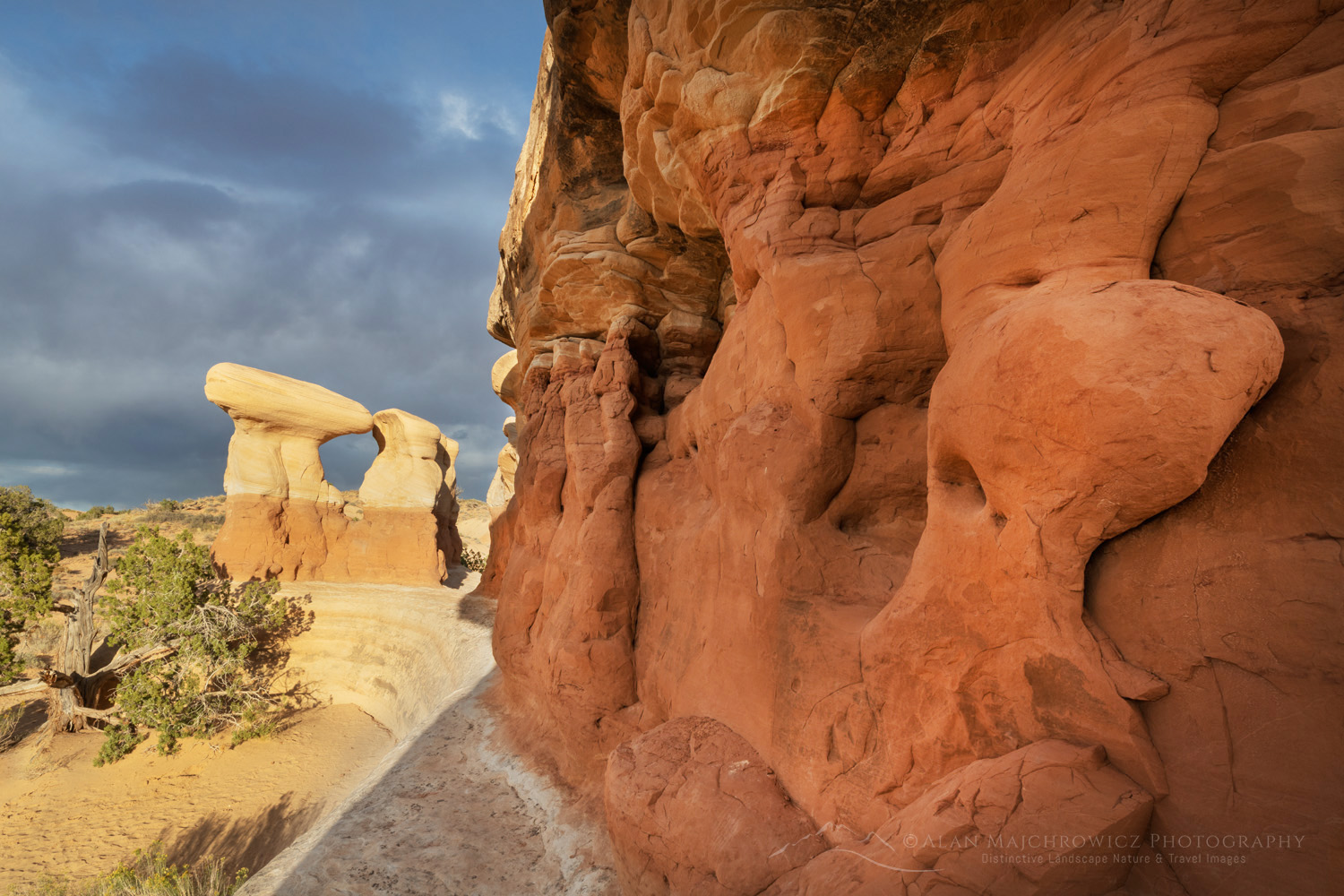Sandstone hoodoos. Devils Garden Grand Staircase-Escalante National Monument Utah #84752