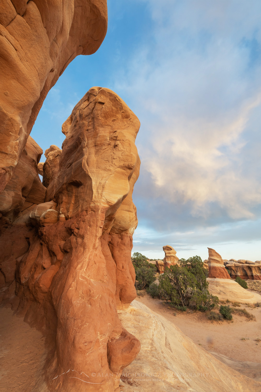 Sandstone hoodoos. Devils Garden Grand Staircase-Escalante National Monument Utah #84783